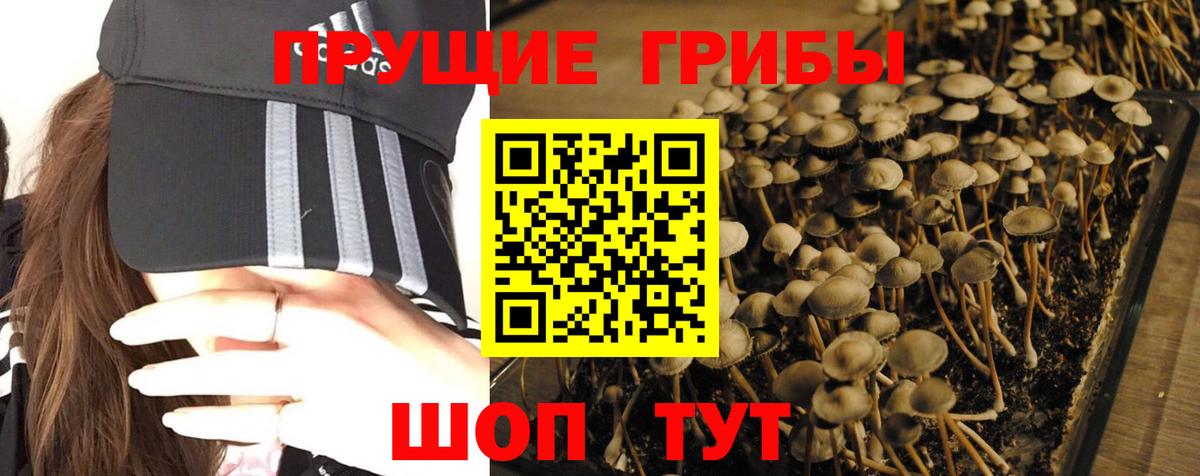 Ноябрьск  Псилоцибиновые грибы ЛСД  Вход с VPN 